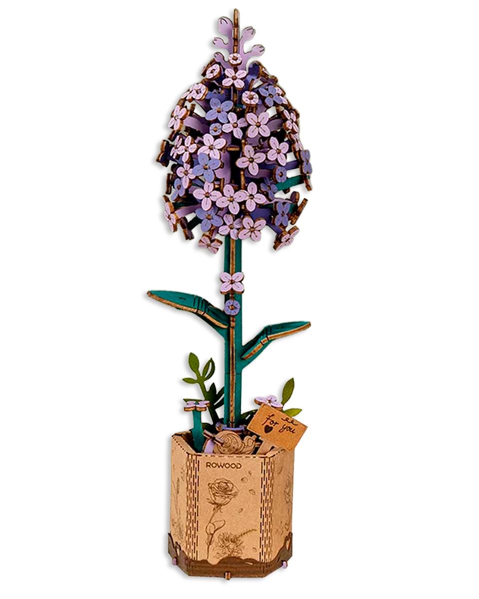 Blue Hydrangea