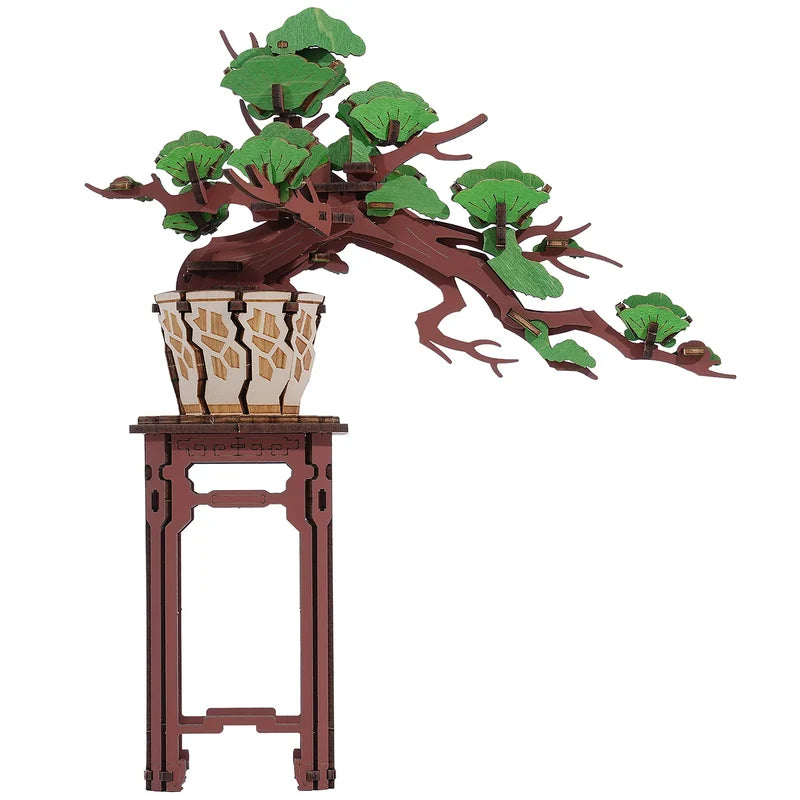 Evergreen Pine Bonsai