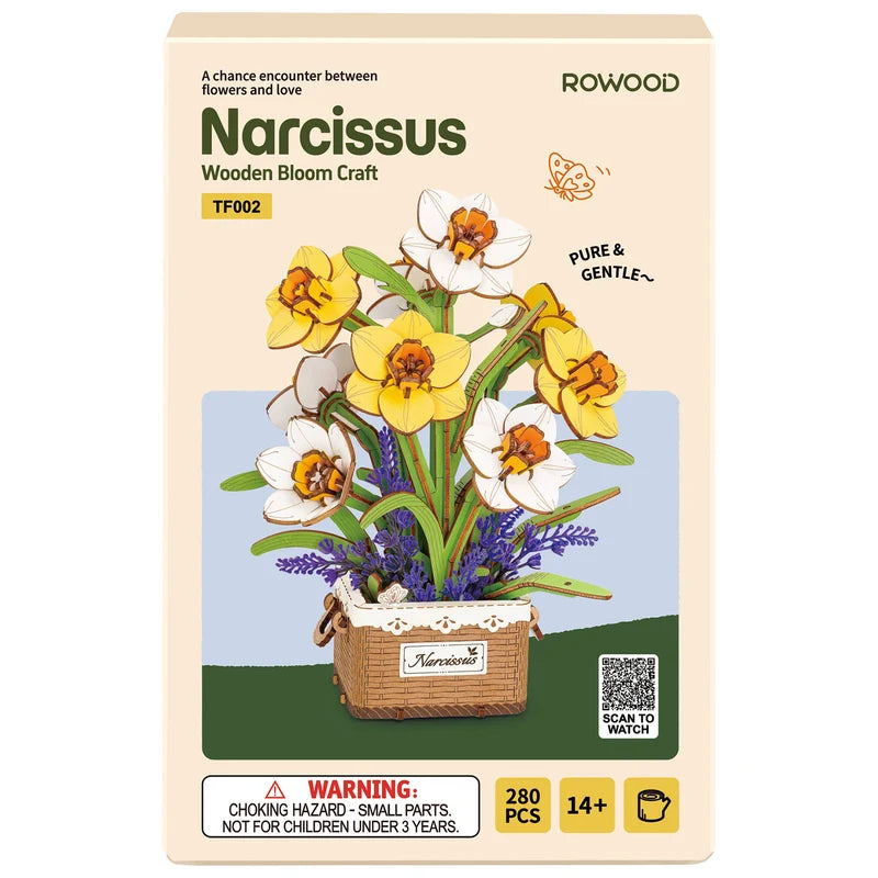 Narcissus