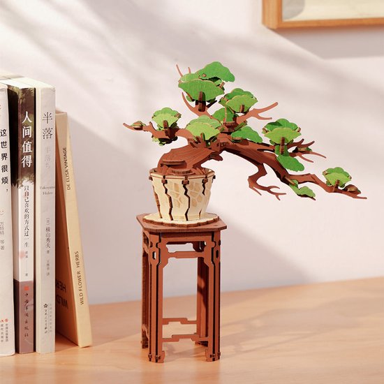 Evergreen Pine Bonsai