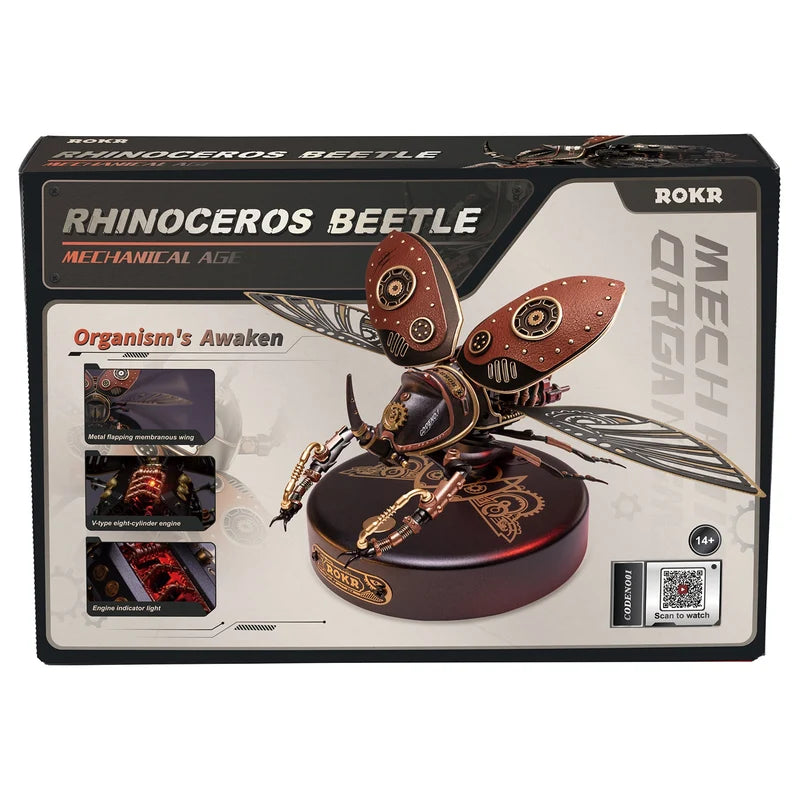 Rhinoceros Beetle