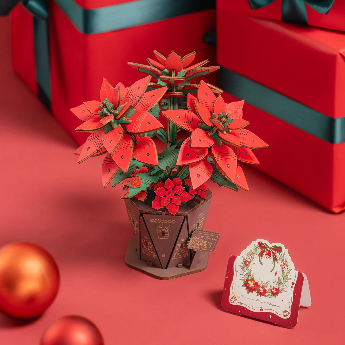 Poinsettia