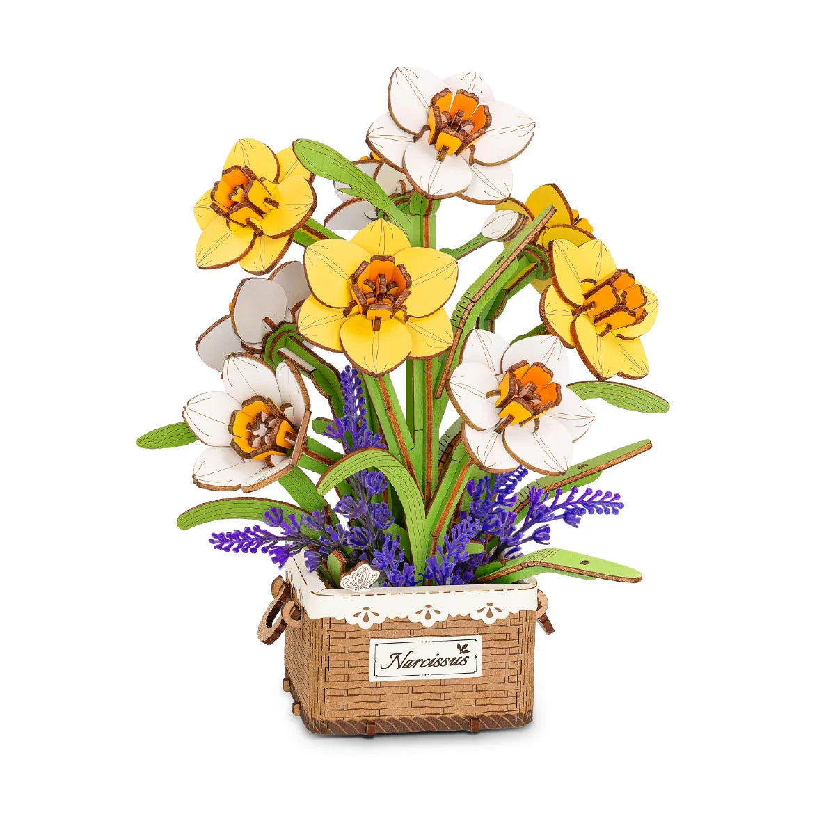 Narcissus