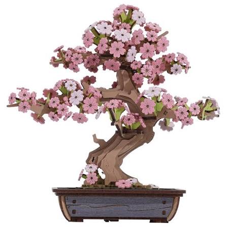 Sakura Bonsai