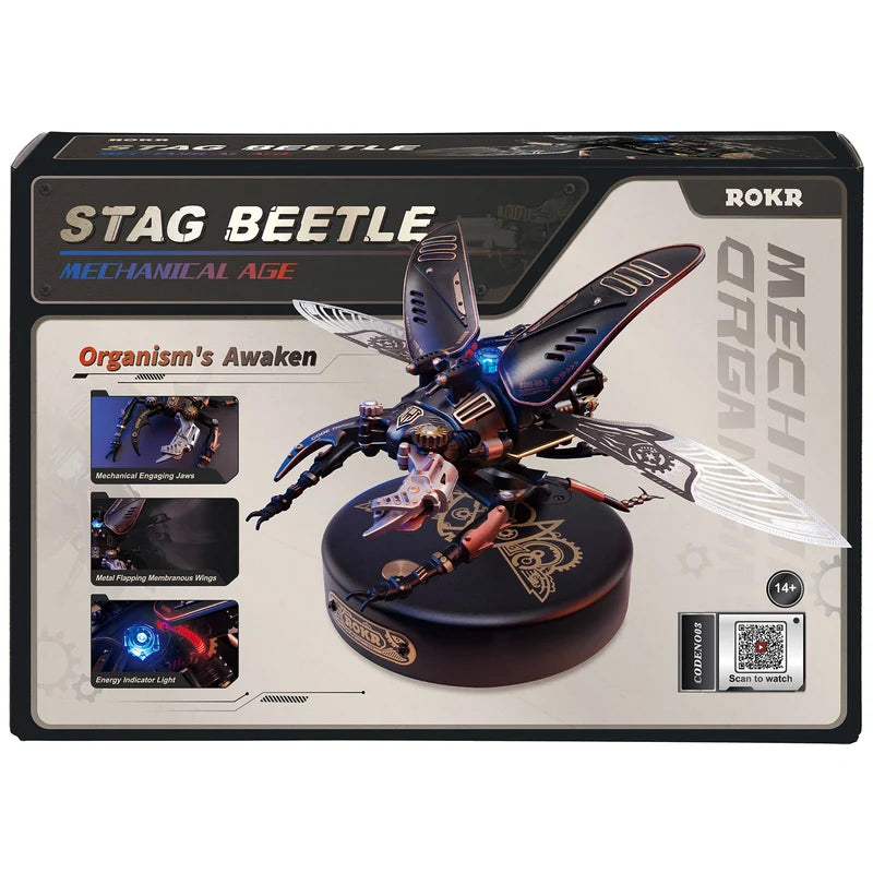 Stag Beetle