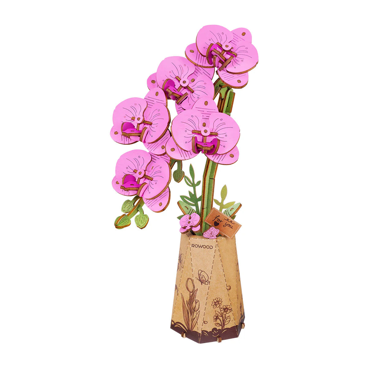 Purple Moth Orchid