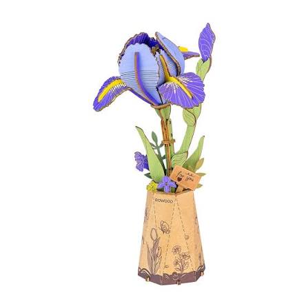 Purple Iris