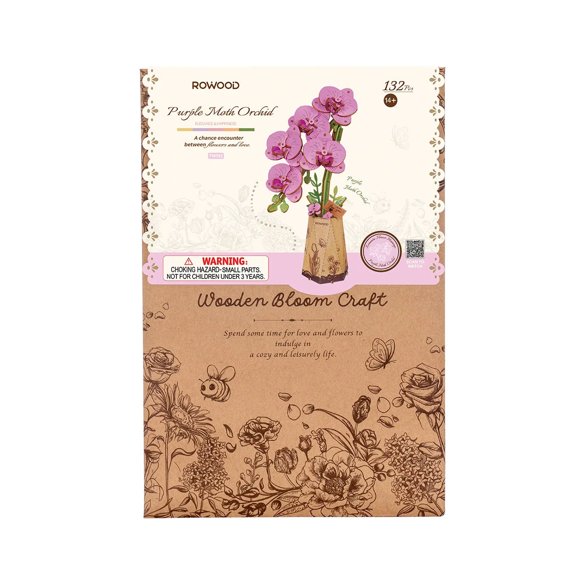 Purple Moth Orchid
