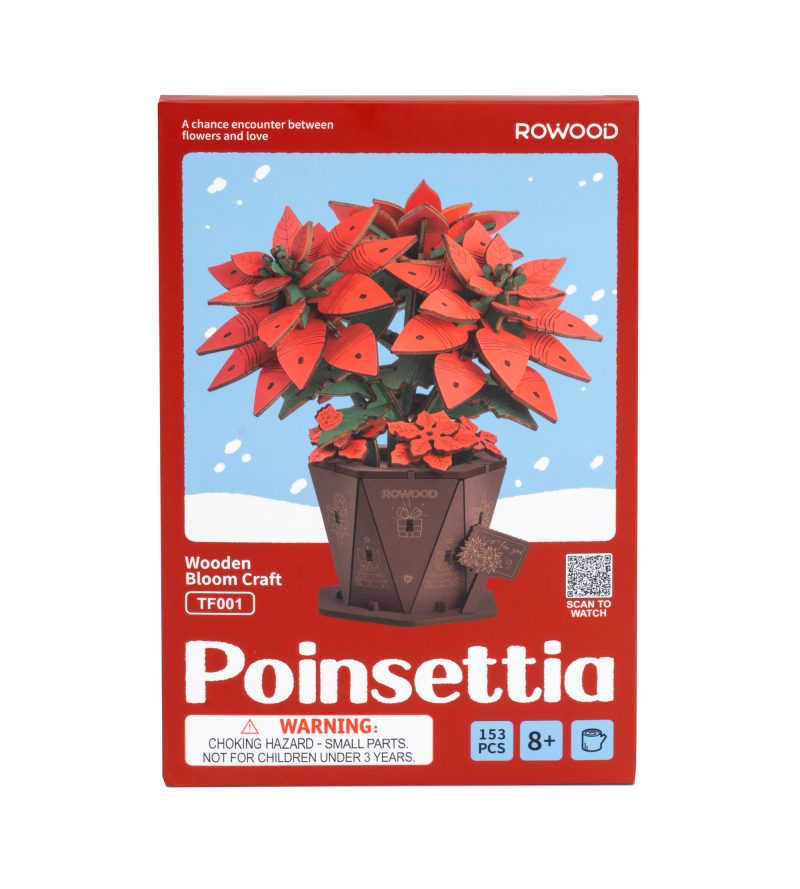 Poinsettia
