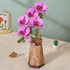 Rowood Purple Moth Orchid