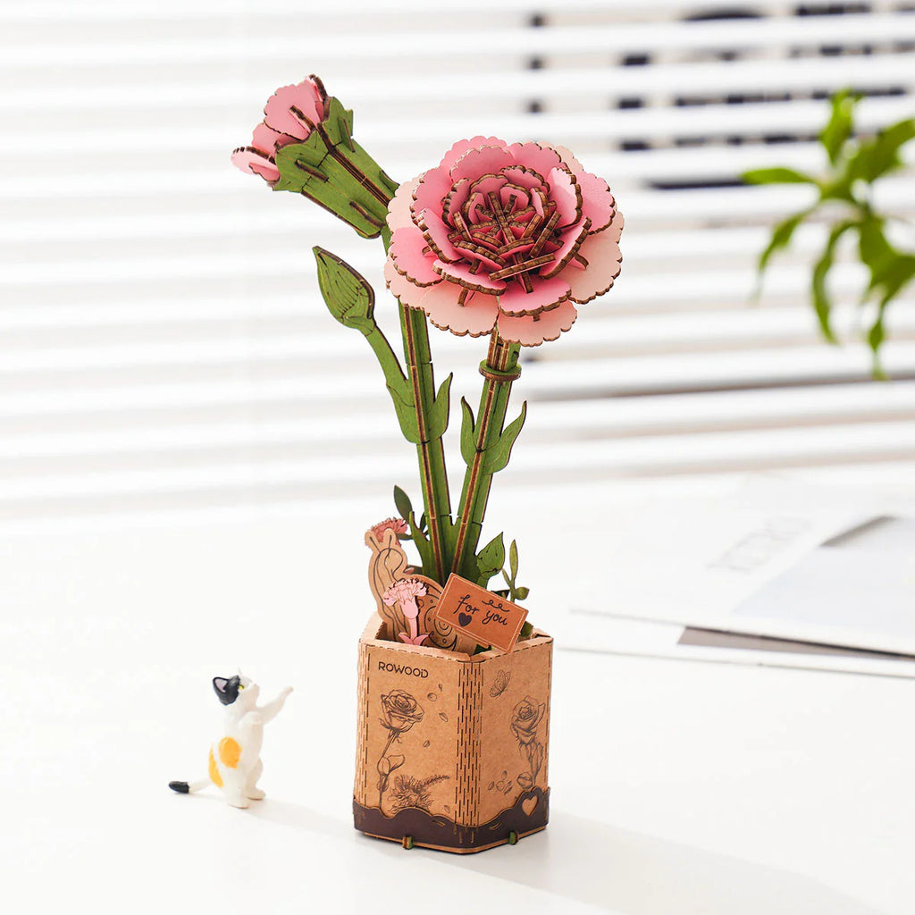 Pink Carnation