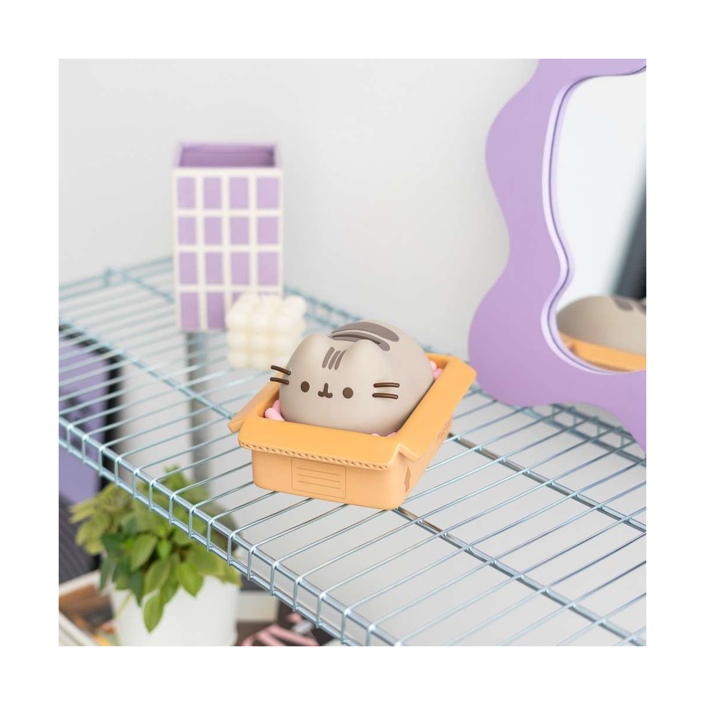 Pusheen Piggy Bank